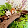 3Pcs Fishing Cat Ladybug Lotus Leaf Set Ornaments Aquarium Decoration Cartoon Cat Statue Mini Resin Figurine Home Decor
