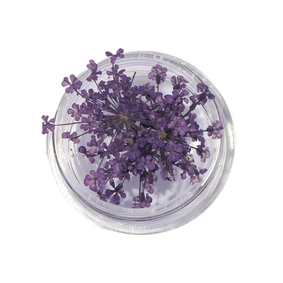 1 коробка подвески для ногтей, не выцветающие, «сделай сам», легко наносятся, изысканные красочные натуральные цветы, художественное украшение для маникюрного магазина