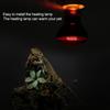   Infrared Heating Warming Lamp Light Bulb for Reptile Pet Supply(25W)