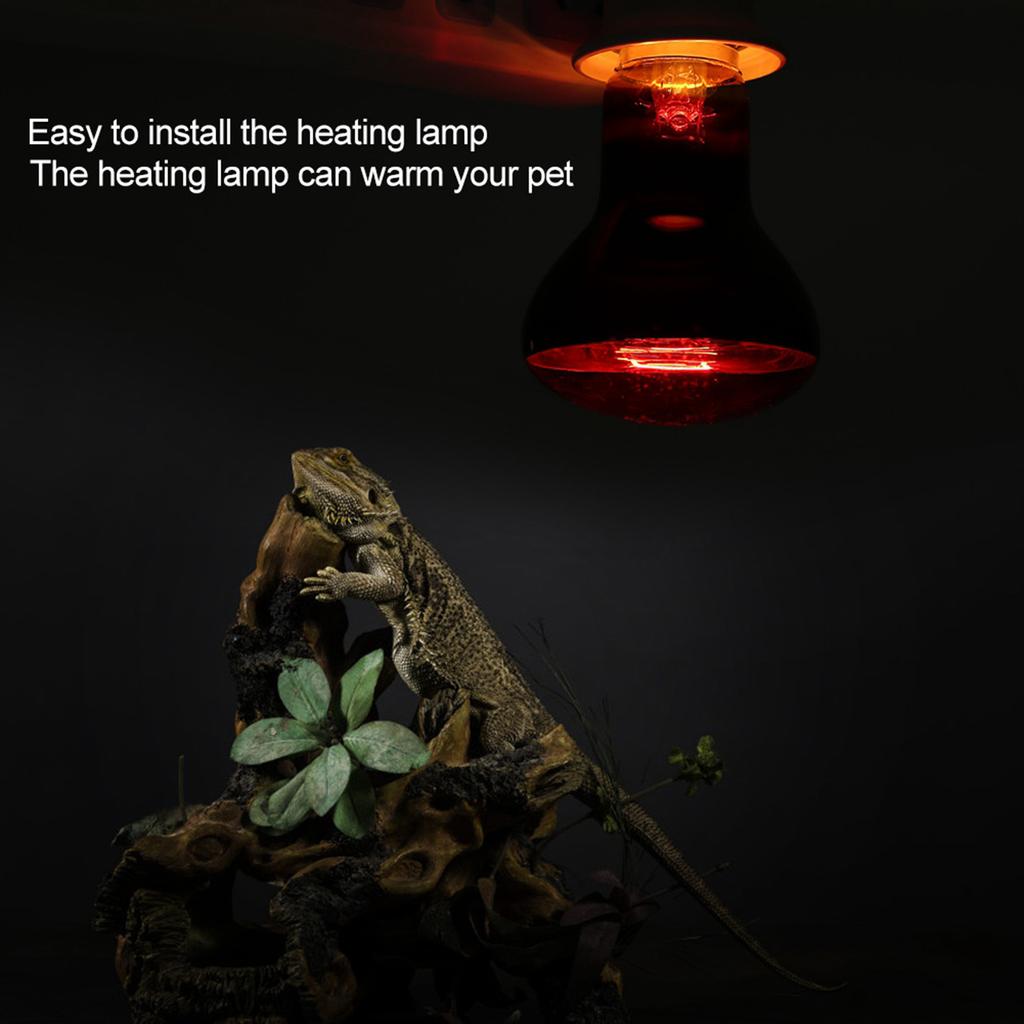 Infrared Heating Warming Lamp Light Bulb for Reptile Pet Supply(25W)