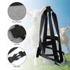 Breathable Mesh Calf Sling With D Shaped Loop Livestock Scale Sling  Professional Farm