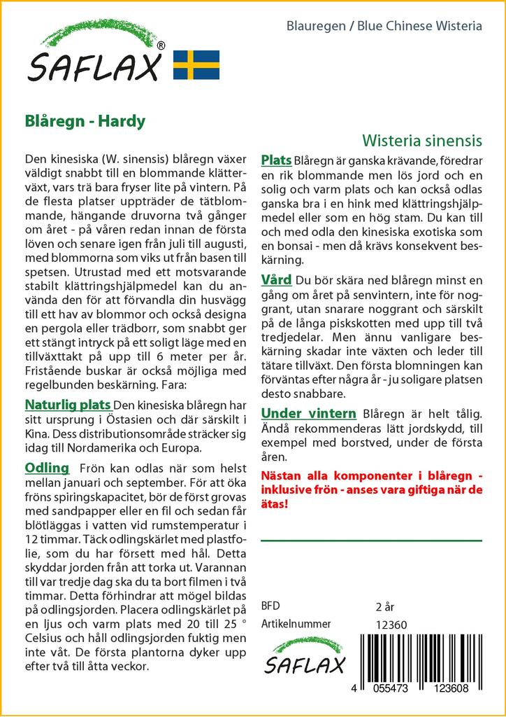 SAFLAX Глициния китайская голубая - 4 семени - Wisteria sinensis