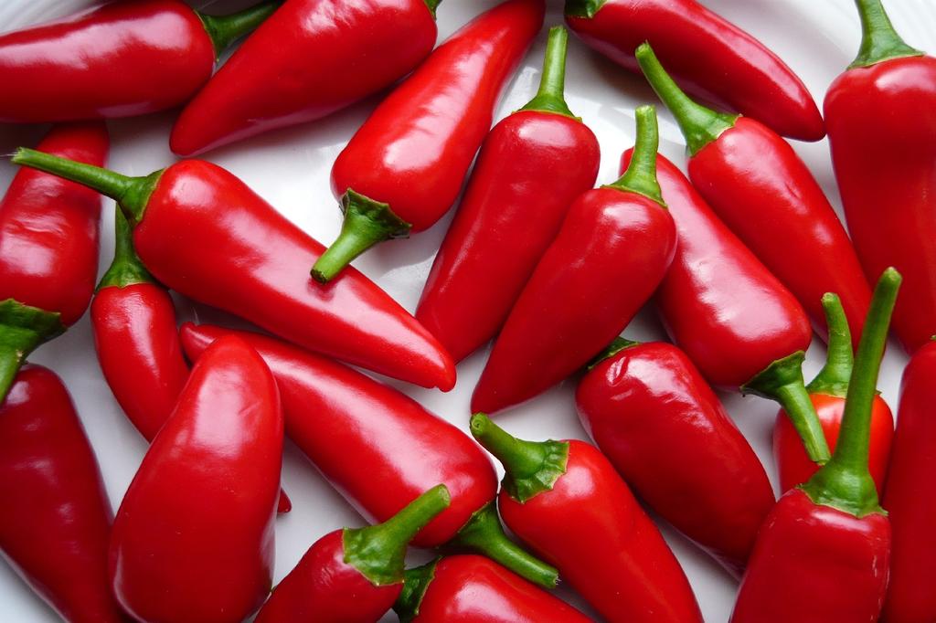 SAFLAX Garden in the Bag - Органический - Острый перец чили - Барак - 15 семян - С субстратом в подходящем пакете - Capsicum annuum