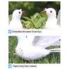 Eye-catching Realistic Looking Delicate Texture Simulation Pigeon Artificial Bird Wedding Party Desktop Statue for Home