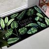 Small Absorbent Door Mats for Entry, Kitchen, Bathroom & Bedroom