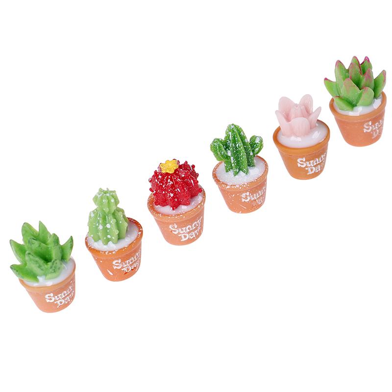 5Pcs Micro-Landscape Resin Cactus Horticultural Bonsai Diy Small Ornaments Toy