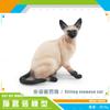 10 Simulated Cat Animal Models Lazy Orange Cat Siamese Cat Muppet Cat Black Cat Flower Cat Desktop Ornament Toys