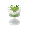 10PCS Disposable Plastic Dessert Cup Ice Cream Cup Small Wine Cup Plastic Dessert Cup Perfect for Fruit Ice Cream Pudding