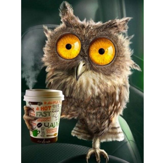 5D DIY Алмазная картина Лесная сова Алмазная вышивка Набор для вышивки крестом Полный горный хрусталь Мозаика Домашний декор