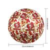San Francisco 49ers Indoor Soccer Ball Size 5 Colorful All Ages Machine Stitched PVC Competition Ready Durable High-Bounce