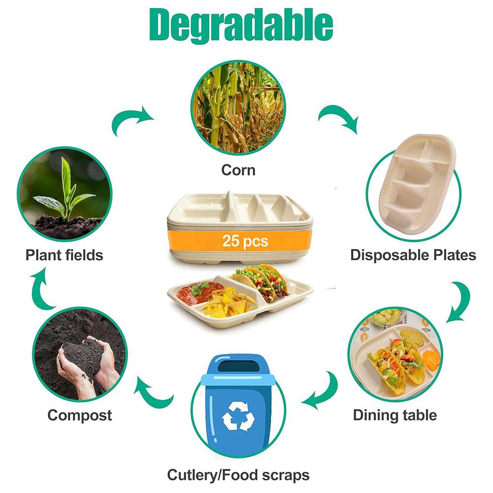 25pcs Disposable Taco Plates with Dividers