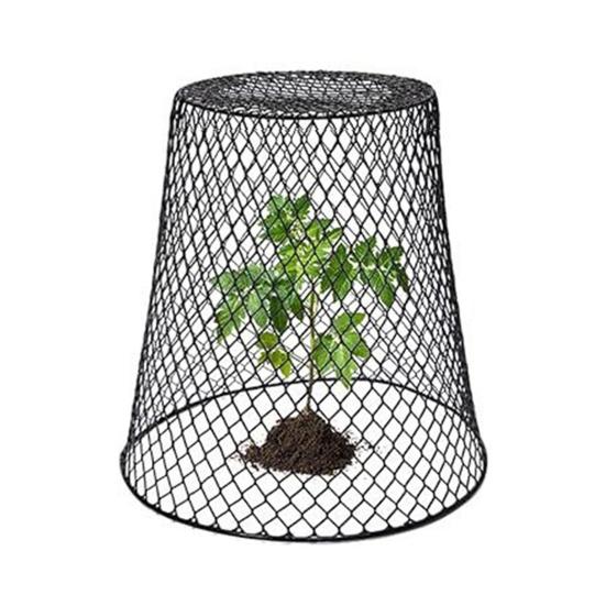 Садовые колпаки для растений Проволочные колпаки Укрытия для растений от животных Сетчатые клетки для растений для защиты уличных растений от оленей и тварей