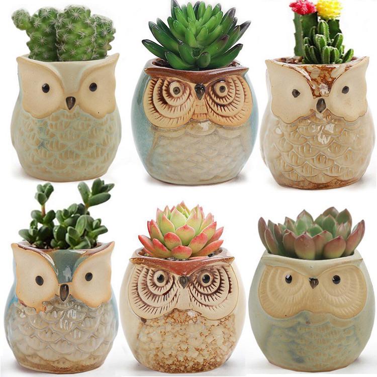 1pcs Personality Succulents Flower Pot Owl Animal Small Flower Pot Creative Cute Thumb Pot Ceramic Hole