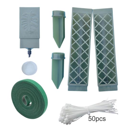 Self-Watering Moss Poles for Climbing Plants Indoor D Shape Plant Support Stake Kit Semi Transparent Monstera Support Stake for Indoor Plants