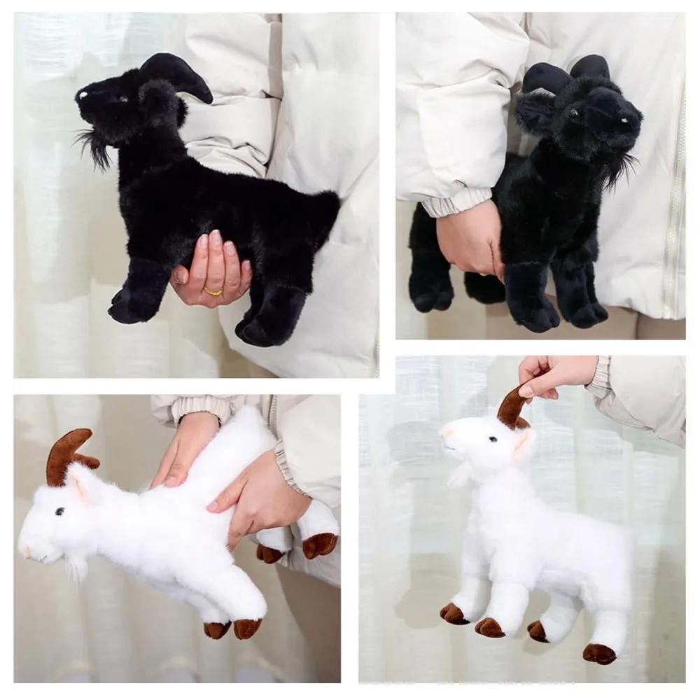 Soft Toy