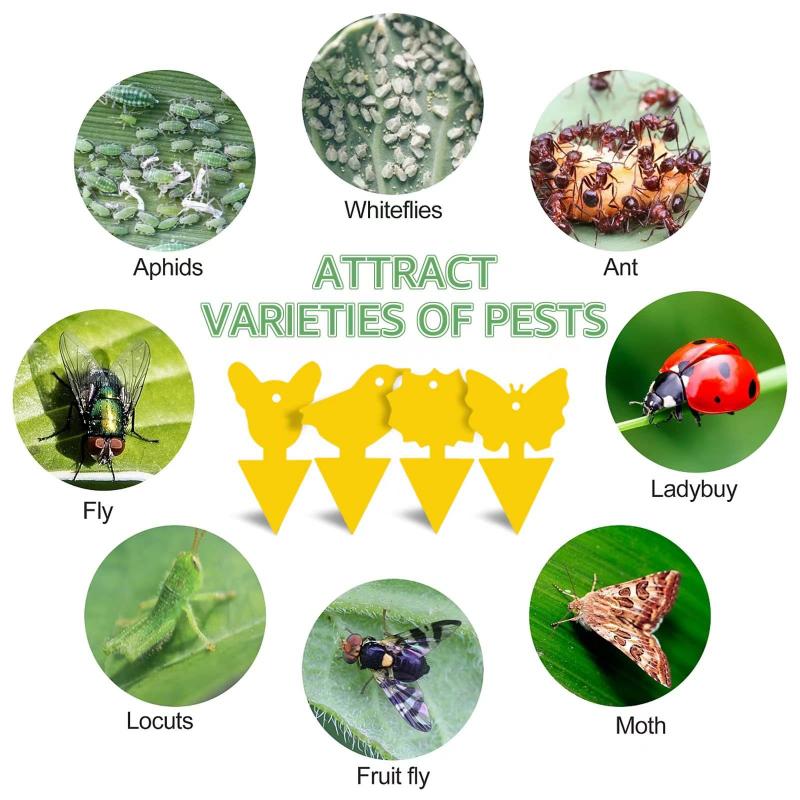 10-100 шт., липкая доска для насекомых, мощная двухсторонняя наклейка-мухоловка, липкая ловушка для мух и вредителей, насекомые-вредители, уличная наклейка для ловли насекомых