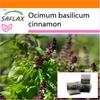 Garden In the Bag - Cinnamon Basil - 200 Seeds - With Substrate In a Fitting Stand Up Bag - Ocimum Basilicum