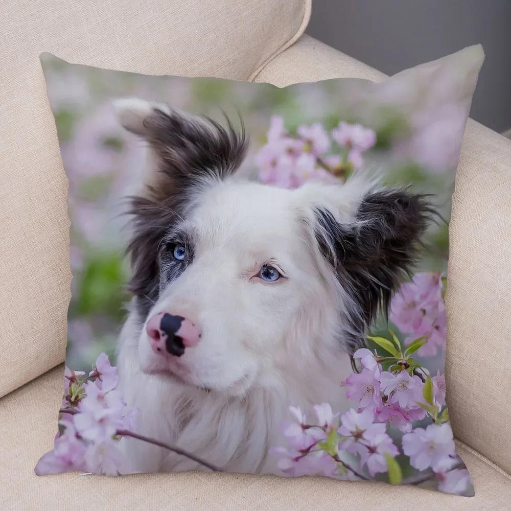 Милый Домашний Питомец Наволочка Шотландия Бордер Колли Наволочка для Дивана Автомобильного Декора Принт Собаки Мягкая Плюшевая Наволочка