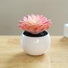 Fake Potted Plant Weather Resistant Photo Props Wide Application Excellent Mini Succulents Desk Office Potted Home Accessories