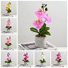 3 Heads Artificial Orchid Flower Advanced Fake Phalaenopsis Bonsai  Party Decor