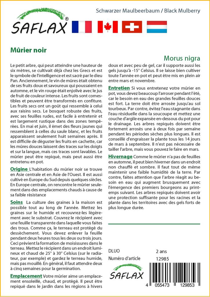 SAFLAX Подарочный набор - Черная шелковица - 200 семян - С подарочной коробкой, карточкой, этикеткой и субстратом для горшков - Morus nigra