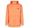 Oakley Park RC Softshell худи