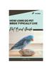 Книга How Long Do Pet Birds Typically Live : Pet Bird Guide