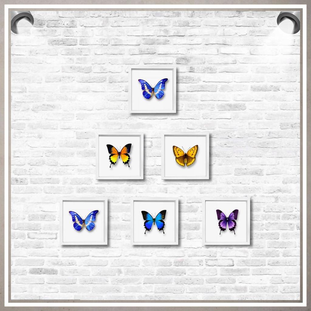 Deep box 3D frame 24.5x24.5 for moss handicrafts for photos, white