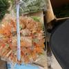 3D Thanksgiving Decorative Wreaths Pumpkin Ribbon Wreaths  Color Decorations