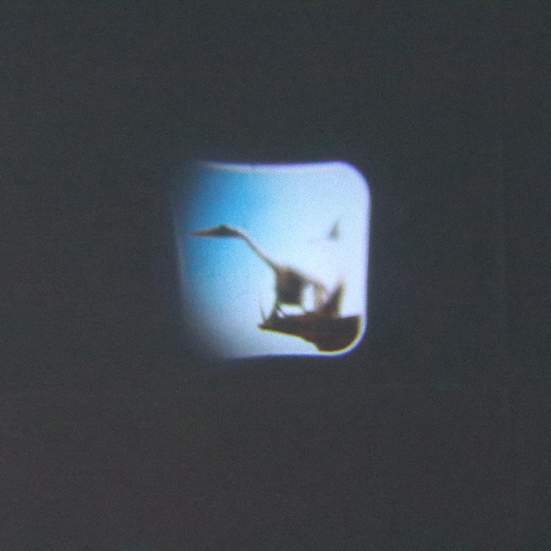 Детский проектор-фонарик с животными, фруктами, динозаврами, мультяшный, для сна, светящийся ночник