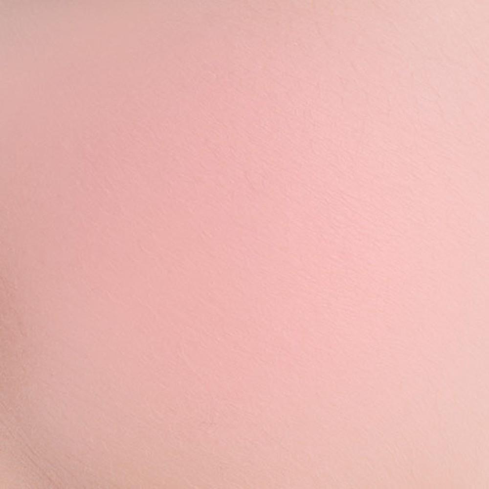 BANILA CO Priming Veil Cheek 6g