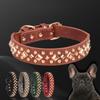 Leather Dog Collar Large Medium and Small Dog Outdoor Dog Leash Anti Bite Golden Rivet Pet Collar