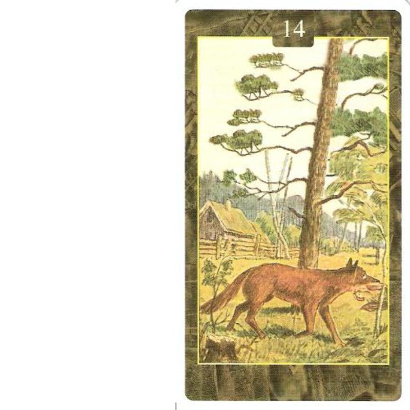 Карты Oracle Oracle Lo Scarabeo, аксессуары для украшения дома