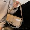 Premium Chain Small Bag Women 2025 New Fashion Texture Commuter Shoulder Bag Niche Design Messenger Bag