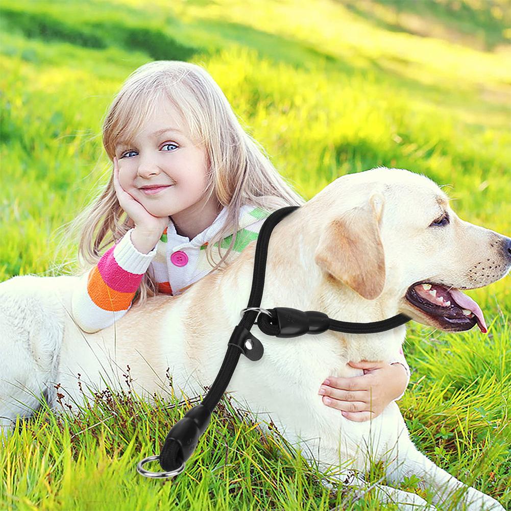 Поводок для дрессировки собак, нейлоновый ремень для собак, регулируемый тяговый ошейник для маленьких, средних и больших собак, аксессуары для домашних животных