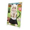 COSPA Fate kaleid liner Cat ear Illya акриловая художественная подставка x Acrylic PrismaIllya Высохни!! В11,5 Ш17,5 см