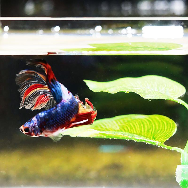1 шт. искусственные растения для аквариума, листья, украшение, рыбка Betta, отдых, нерест, декоративное растение, игра, отдых, спрятаться, гамак из листьев