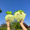 Новая милая овощная серия кукла кольраби кукла милый детский подарок на день рождения плюш