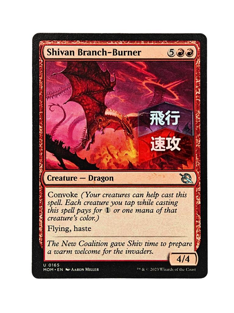 Счётчики ключевых слов MTG, набор из 72 штук (12 видов по 6 штук каждого), Цветные акриловые жетоны | Включая коробку для хранения | Магия: Совместимый с The Gathering