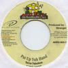 7inch Record TERROR FABULOUS - Put Up Yuh Hand MHPD18023 Mad House 1994 Jamaica Reggae, Ska & Dub