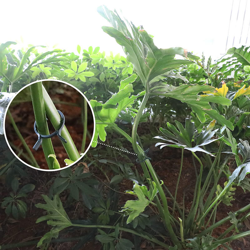 100/200 шт. зажимы для поддержки растений для вьющихся растений многоразовые зажимы для захвата садовых овощей и томатов