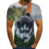 Summer Round Neck 3D Pet Dog Print Top Fashionable Casual Short Sleeved Men's T-shirts