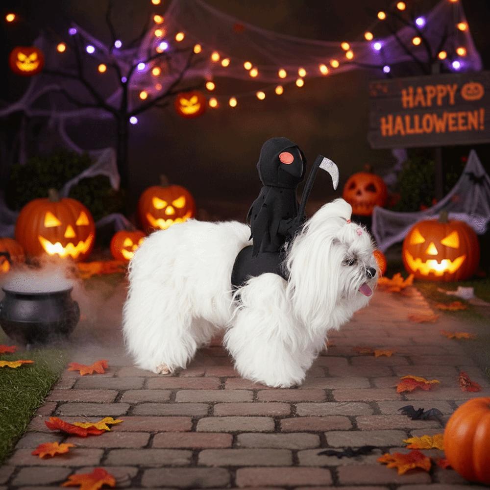 Funny Dog Costume Creative Dog Saddle Costume Dog Ghost Riding Costume Halloween Party