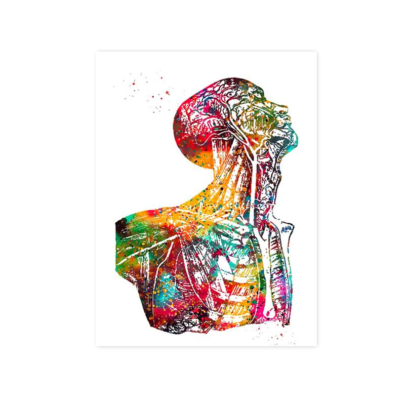 Анатомия человека мышечная система холст картина сердце легкие кость плакат печать медицинское образование офисные фотографии украшение дома подарки