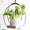 Вешалка для растений с гладкими краями, декоративная широко используемая привлекательная подвесная подставка для растений, стеллаж для хранения цветочного горшка, бытовые принадлежности