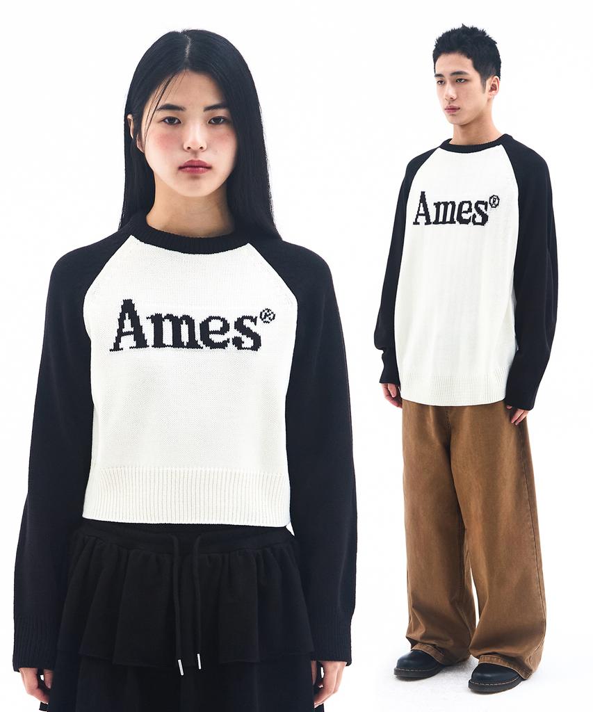 AMES-WORLDWIDE Basic Raglan Pullover Knit Ivory