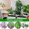 10Pcs Adjustable Plant Climbing Rack Creative Plant Stand Flower Stand Sticks  Garden Accessories