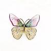 Boys Luxury Sense Korean Style Badge Transparent Wings Butterfly Women Brooch Clothes Accessories