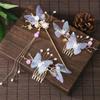 Hair Comb Women Hair Accessories Pearl Tassel Hair Stick Chinese Hairpin Set Hairstyle Design Tool