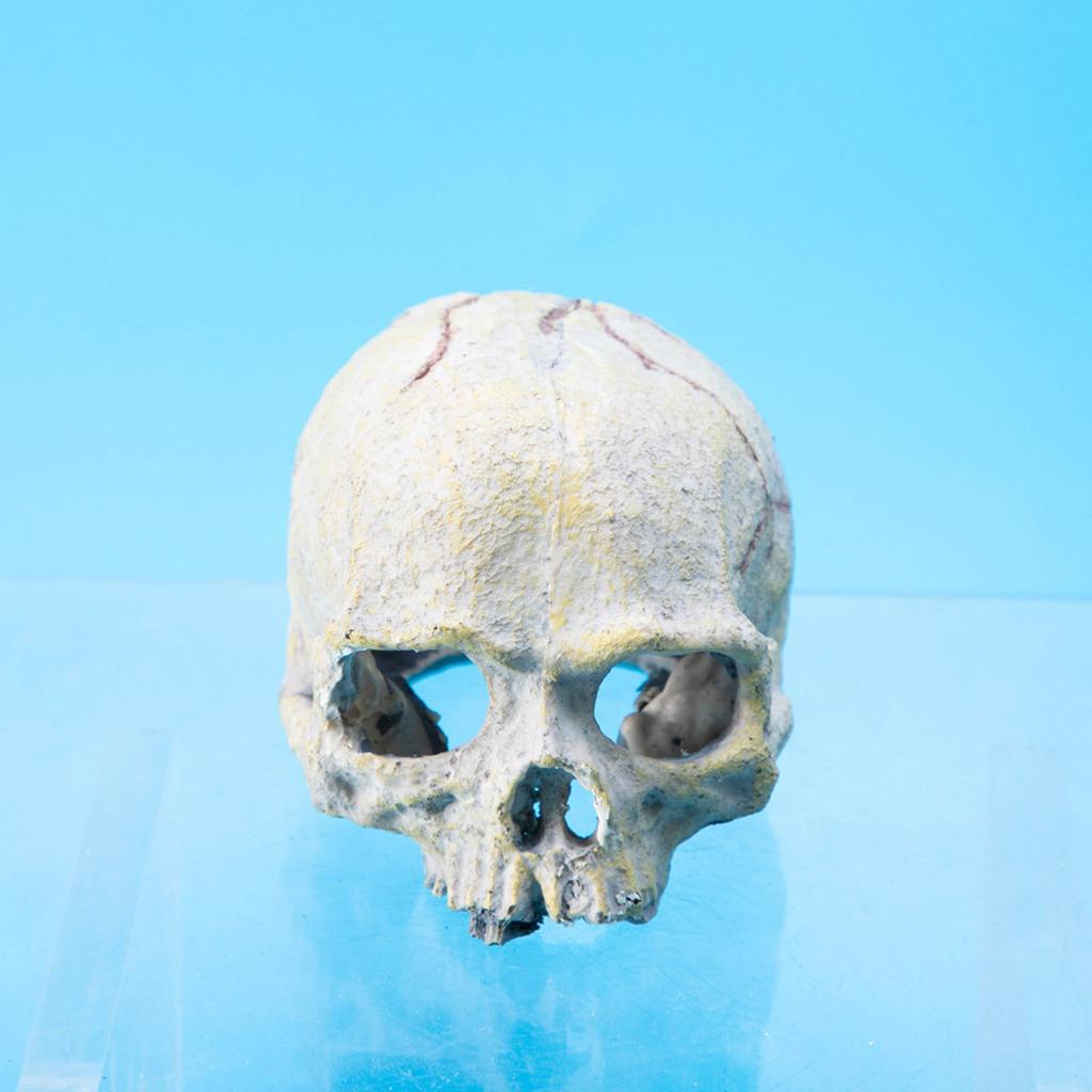 Смола Фигурка Черепа Укрытия и Пещеры для Рептилий Аксессуары для Аквариума Террариума для Леопардового Геккона Бородатой Агамы Шарового Питона